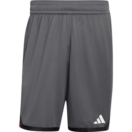 Adidas Dbb Duitsland Training Korte Broek Grijs