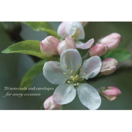Cardbox Of 20 Notecards And Envelopes: Apple Blossom - Peony Press
