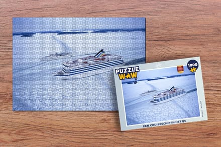 Puzzel Een Cruiseschip in het ijs - Legpuzzel - Puzzel 1000 stukjes volwassenen