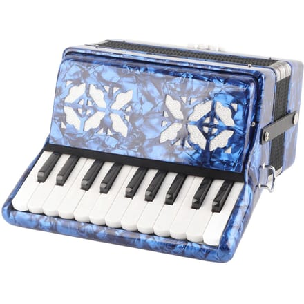 Accordeon Heldere Kleur 22?Sleutel 8?Bas Piano Keyboard Instrument voor Podiumoptreden gray