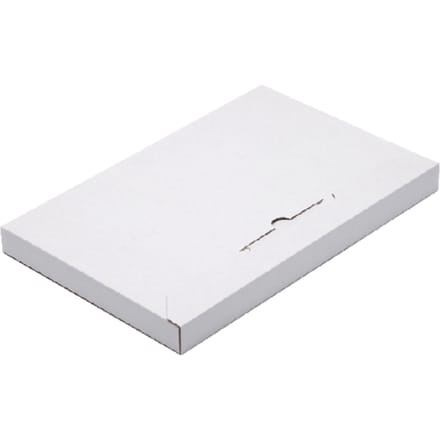 Brievenbusbox CleverPack A4 350x230x26mm karton wit pak à 5 stuks