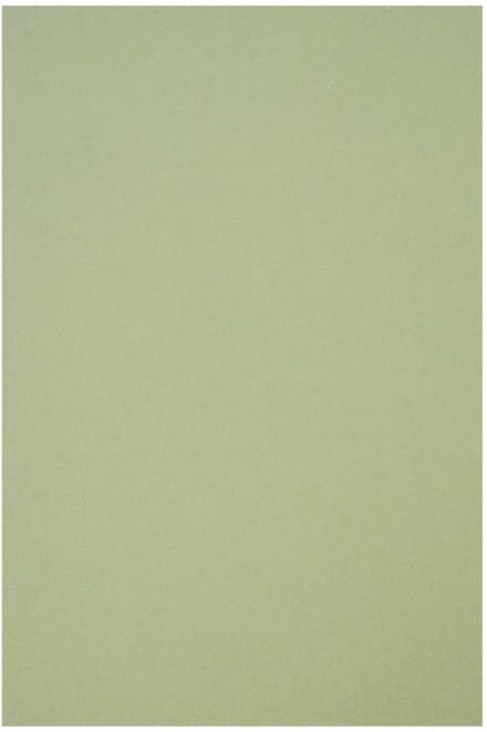 Netuno - groen ecologisch papier - A5 - 14,8 x 21 cm - 10 vellen - 250 gram - Crush Kiwi