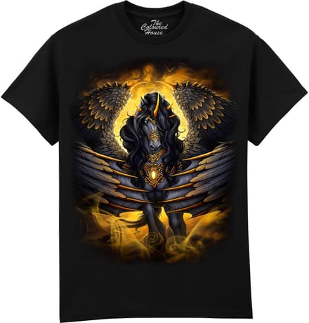 Black Pegasus The Coloured House T-shirt M