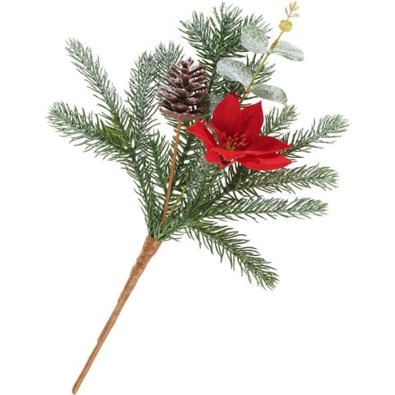 Kerstboom pluk "Gloria"