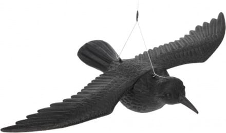 Hangende vogelverschikker raaf 40 cm