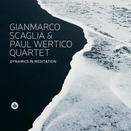Dynamics In Meditation - Gianmarco Scaglia & Paul Wertico