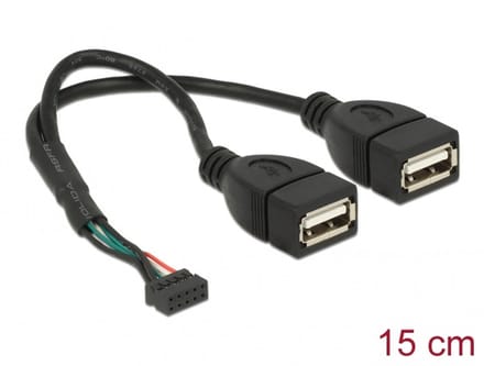 Delock Cable USB 2.0 pin header female 2.00 mm 10 pin > 2 x USB 2.0 Type-A female 20 cm