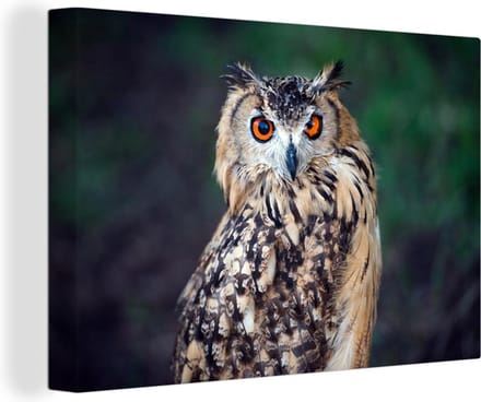 Canvas Schilderij Oehoe uil - 60x40 cm - Wanddecoratie