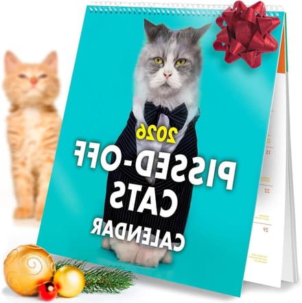 Grappige Katten Kalender - Muurplanner - Dagelijkse Planning - 150 Grappige Gelegenheden - 24 x 23.5 cm