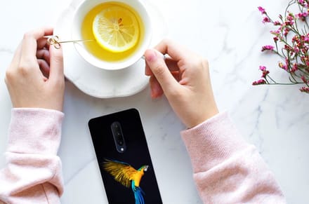 OnePlus 7 Pro TPU Hoesje Papegaai
