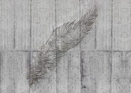 Fotobehang Concrete Feather - Grijs - 2,50m X 350cm