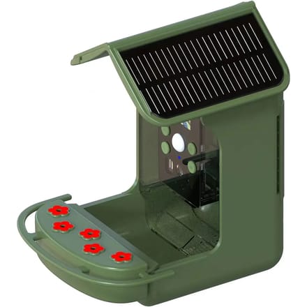 Voederautomaat camera voor vogels Easypix