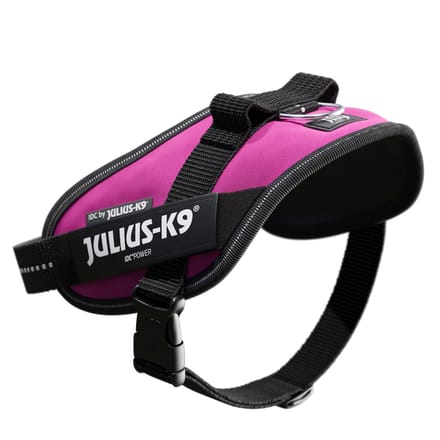 JULIUS-K9 IDC®-Powertuigje - Roze - Grootte S: borstomvang 49 - 67 cm