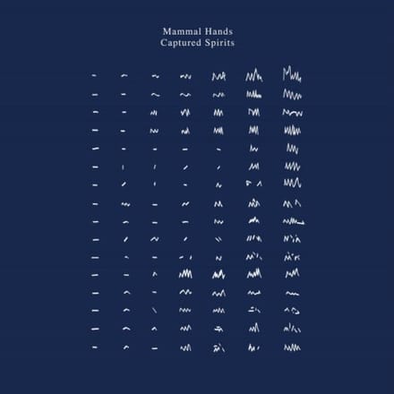 Captured Spirits - Mammal Hands