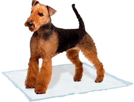 Ferplast Trainingpads Hond 60 X 60 Cm Textiel Wit 10 Stuks