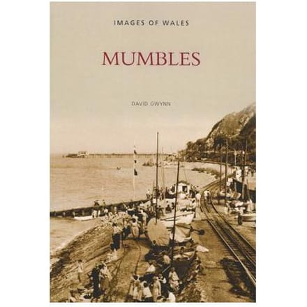 Mumbles - David Gwynn