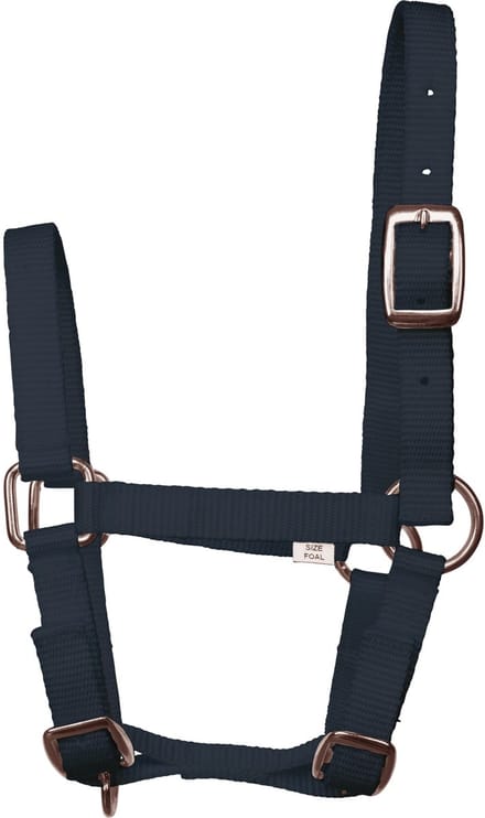 Imperial Riding - Veulenhalster - Navy