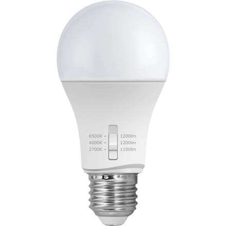 Fumagalli E27 11W LED lamp A60 CCT 2.700/4.000/6.500K