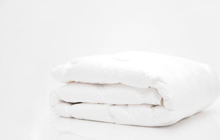 Plutex Donsdeken - 95% witte Poolse ganzendons - 140x200 - Herfst/Lente