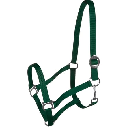 Halster voor paarden York Harmony