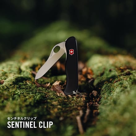 VICTORINOX Mes Vouwbaar Klein Sentinel Clip 0.8416.M3 white