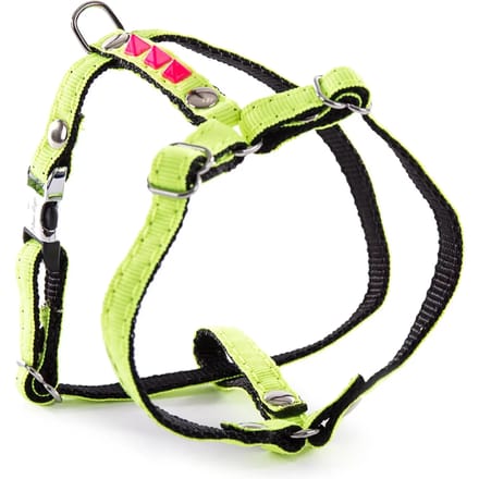Fluo Harnas voor Hond Martin Sellier