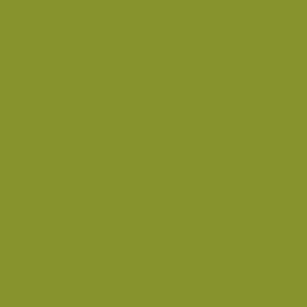 ZIG Art & Graphic Twin Tip brush marker - Olive Green