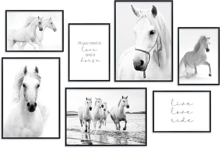 Wanddecoratie Set van 7 Afbeeldingen Paarden Collage Poster Set A3 en A4