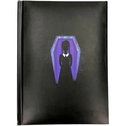 Notebook SD Toys Wednesday