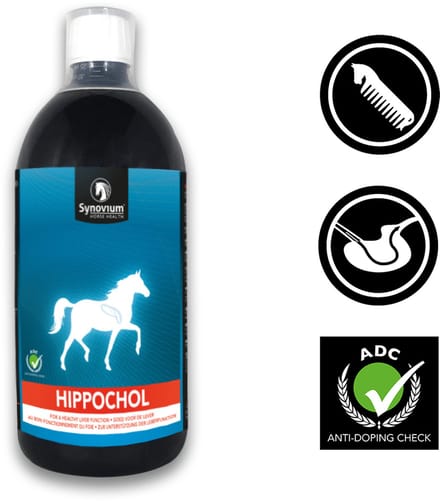 Synovium Hippochol - 1 l