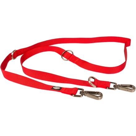 Nylon hondenriem Duvoplus Explor North Duo