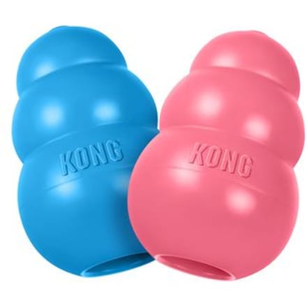 KONG Puppy - KONG Maat M, blauw + KONG Enhanced Ziggies Puppy M/L (227 g)