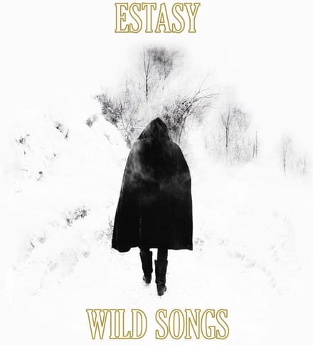 Estasy - Wild Songs (CD)