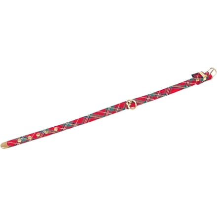 Hondenhalsband Martin Sellier Ecos