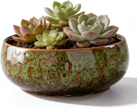 Omgoods - Lotus Bonsai Bloempot van Keramiek, 16.5 x 6.5 cm