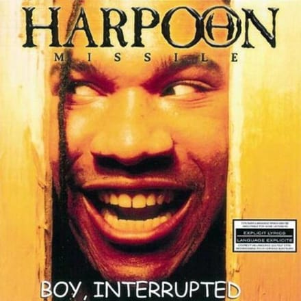 Boy Interrupted