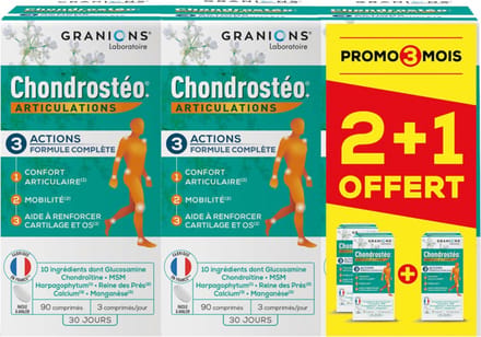 Granions Chondrostéo+ Articulations Verpakking van 3 x 90 Tabletten Inclusief 90 Gratis Tabletten