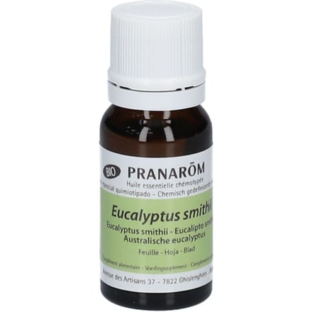 Pranarôm Essentiële Olie Eucalyptus Smithii Bio 10 Etherische olie