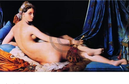 Kunstdruk Dominique Ingres - La Grande Odalisque 80x60cm