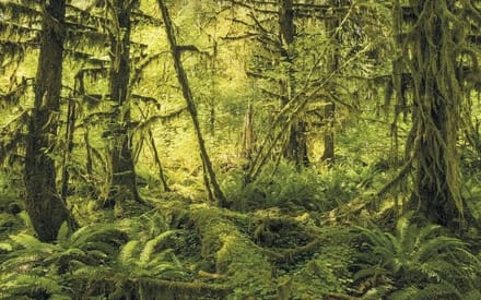 Fotobehang - Ancient World 400x250cm - Vliesbehang