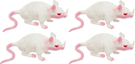Chaks Stretchy nep rat 17 x 14 cm - 5x - wit - Horror/griezel thema decoratie