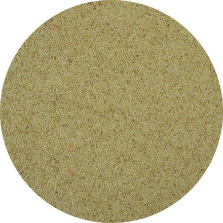 Van Beekum Specerijen - Knoflook Granulaat - 25 KG - Doos (bulk verpakking)