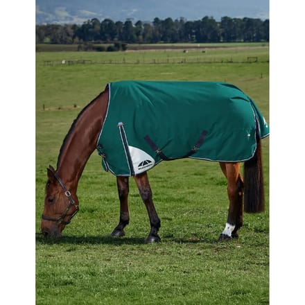 Outdoor paardendeken Weatherbeeta Comfitec Plus Dynamic 100g