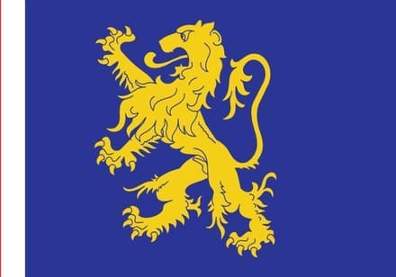 Vlag Leeuwarden 30x45cm