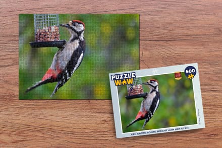 Puzzel Een grote bonte specht aan het eten - Legpuzzel - Puzzel 500 stukjes