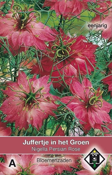 Van Hemert & Co - Juffertje In Het Groen Persian Rose (Nigella)
