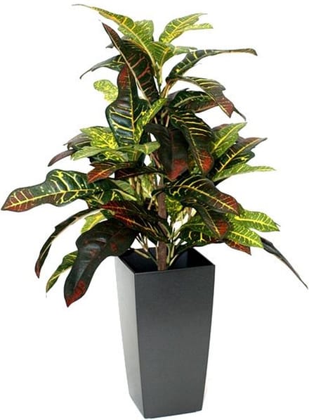 Croton Window kunstplant 50cm