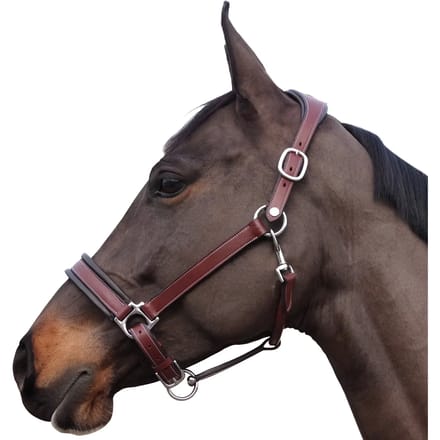 Halster voor paarden Flags&Cup Comfort