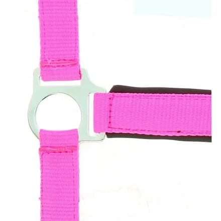 Halster voor paarden Norton Fluo