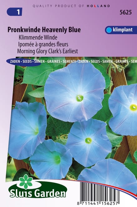 Sluis Garden - Klimmende Winde Clark's Blue (Ipomoea)